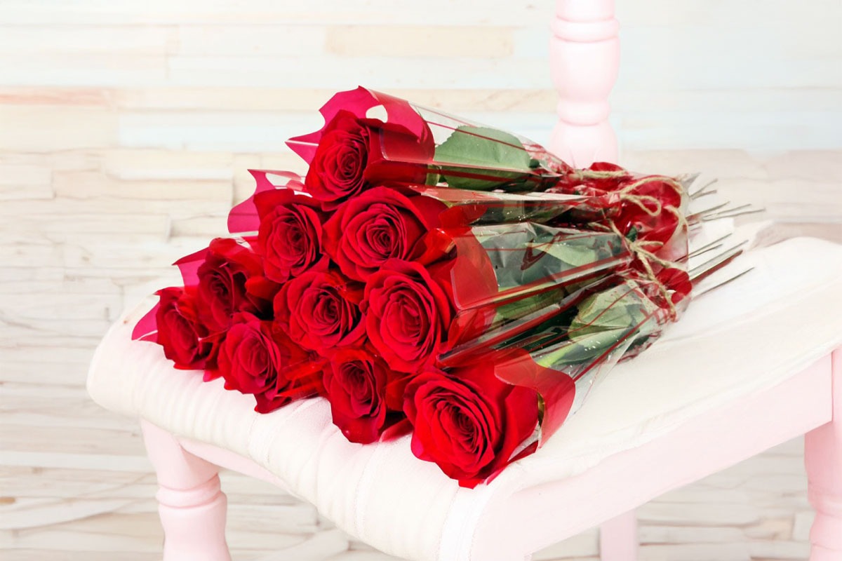Red Single Rose 10