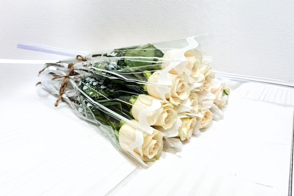 White Single Rose 10