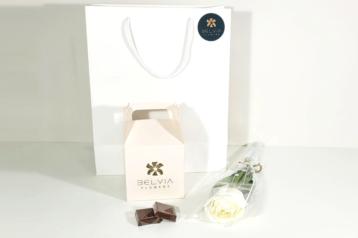 white single rose with chocolate
