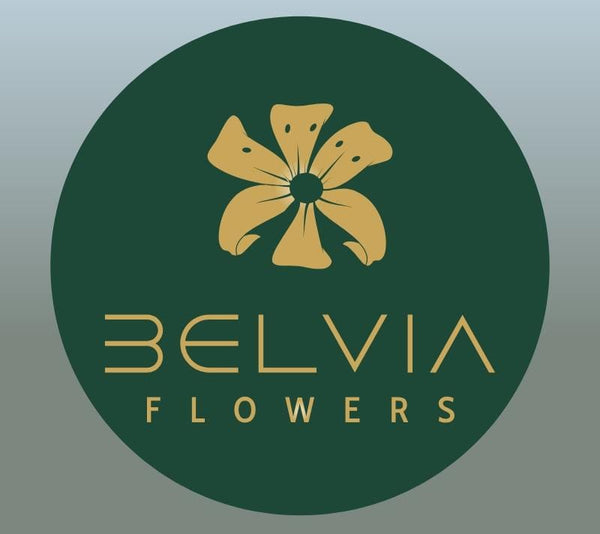 BELVIA FLOWERS 