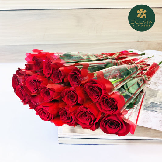 Red Single Rose 25 Single Rose