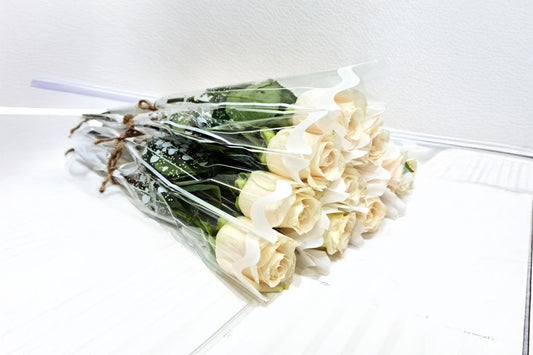 White Single Rose 10