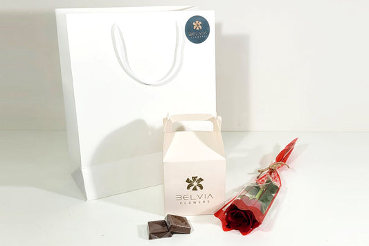 red single rose with chocolate