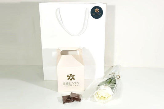 white single rose with chocolate